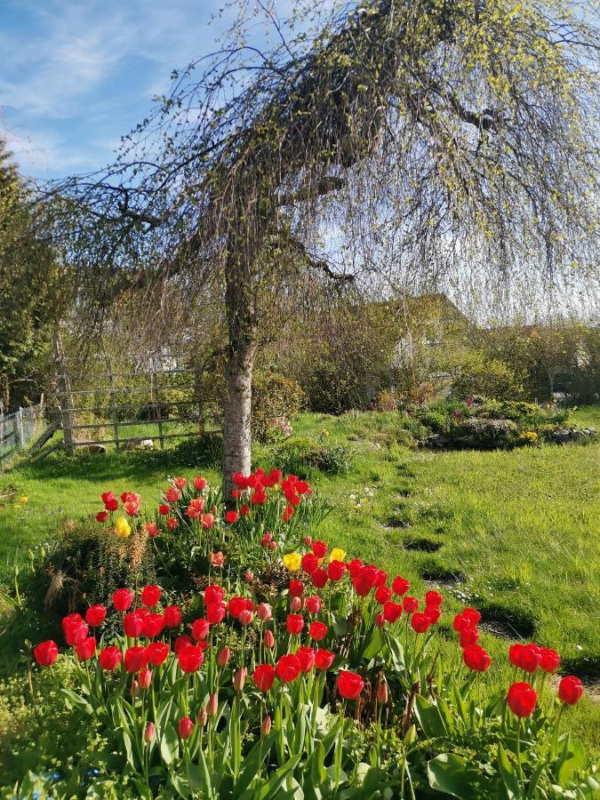 Moderne Ferienwohnung Gartenblick Amtzell Екстер'єр фото